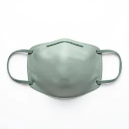 Face mask