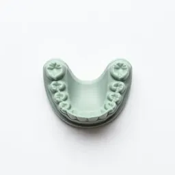 False teeth