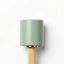 Ferrule