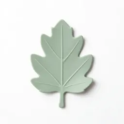 Fig leaf
