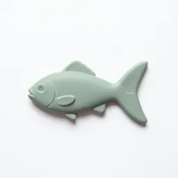 Fin