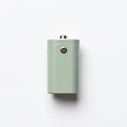 Flashlight battery