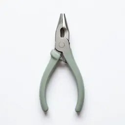 Forceps