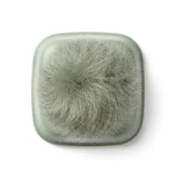 Guard hair