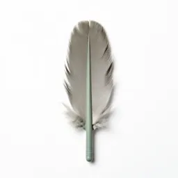 Saddle hackle