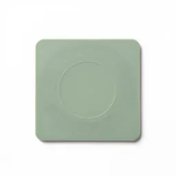 Acetate disk