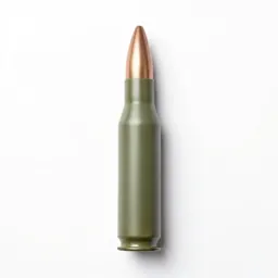 Ammunition