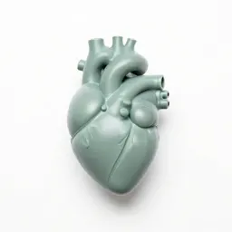 Artificial heart