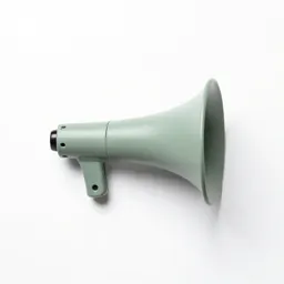 Automobile horn
