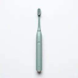 Electric toothbrush