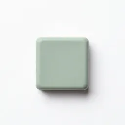 Eraser