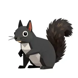 Black squirrel