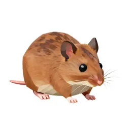 Hazel mouse