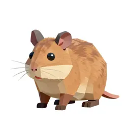 Kangaroo rat