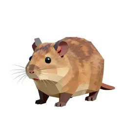 Packrat