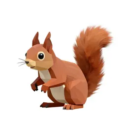 Red squirrel