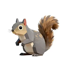 Western grey squirrel