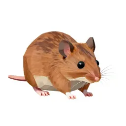Wood mouse