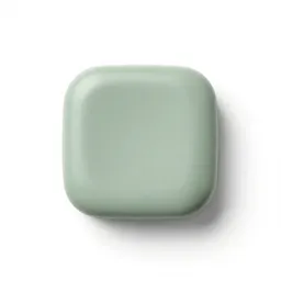 Brilliant pebble