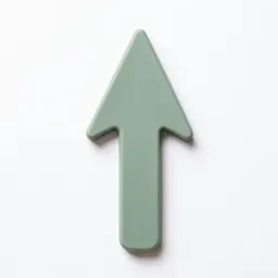 Broad arrow