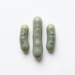 Clostridium perfringens