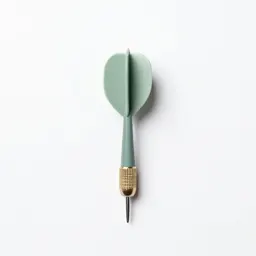 Dart