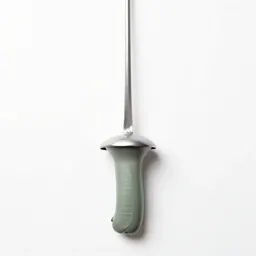 Fencing sword