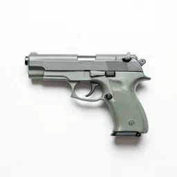 Pistol