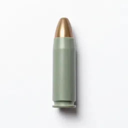 Rubber bullet