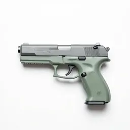 Set gun