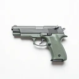 Twenty-two pistol