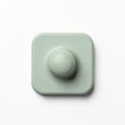 Fulcrum