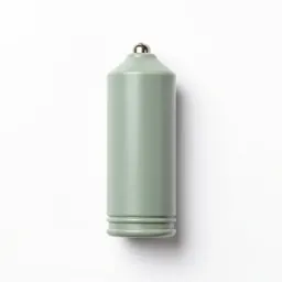Fuse