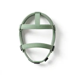 Headgear