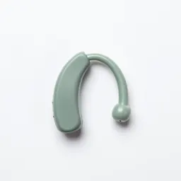 Hearing aid