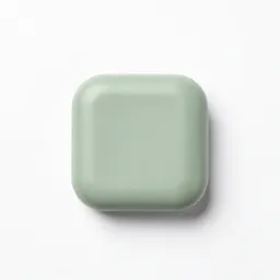 Holding device