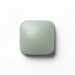 Horn button