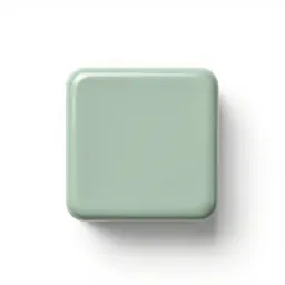 Lacquer