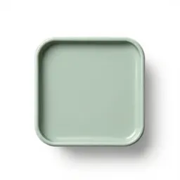Latex paint