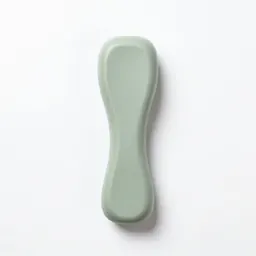 Ligament