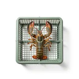 Lobster pot