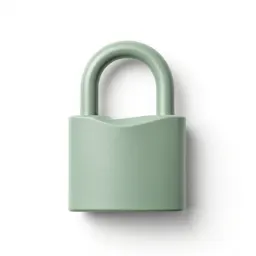 Lockage
