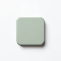 Magnet