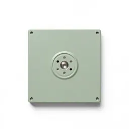 Magnetic disk