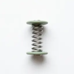 Mainspring
