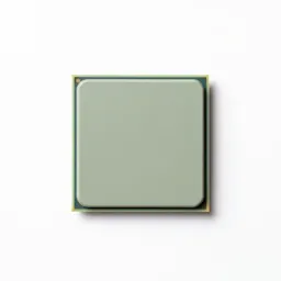 Microprocessor