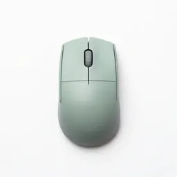 Mouse button