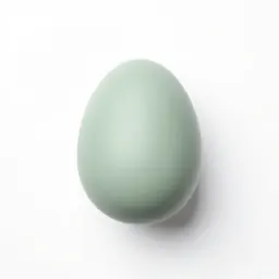 Nest egg