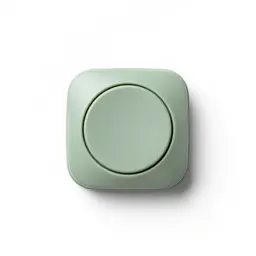 Panic button