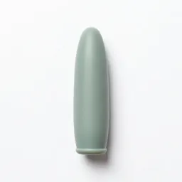 Penile implant
